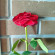 фото из отзыва ID 2714417