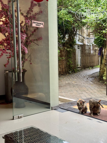 IL Mare Sakura Resort