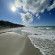 фото из отзыва ID 2714462