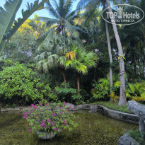 фото из отзыва ID 2714542