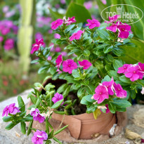 фото из отзыва ID 2714547