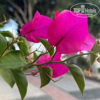 фото из отзыва ID 2714547