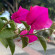 фото из отзыва ID 2714547