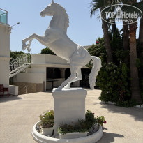 фото из отзыва ID 2714552