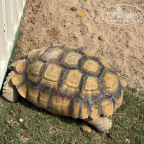 фото из отзыва ID 2714767
