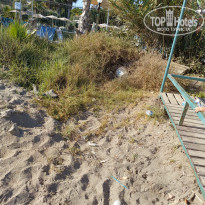 фото из отзыва ID 2714845