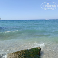 фото из отзыва ID 2714845