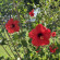 фото из отзыва ID 2714925