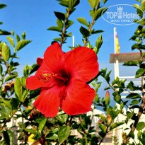 фото из отзыва ID 2714881