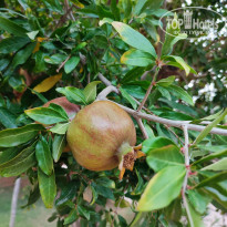 фото из отзыва ID 2714959