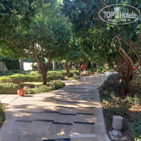 фото из отзыва ID 2715178