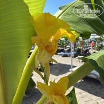 фото из отзыва ID 2715226