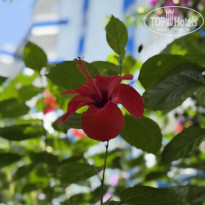 фото из отзыва ID 2715456