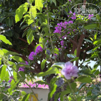 фото из отзыва ID 2715456