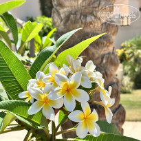фото из отзыва ID 2715460