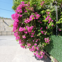 фото из отзыва ID 2714757