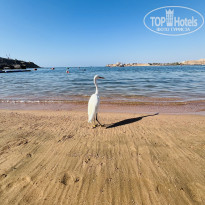 фото из отзыва ID 2715629