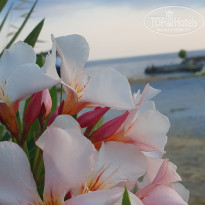 фото из отзыва ID 2715938