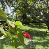 фото из отзыва ID 2715973