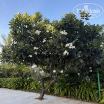 фото из отзыва ID 2715973