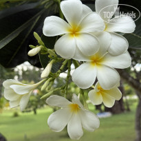 фото из отзыва ID 2715973