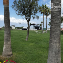 фото из отзыва ID 2716002