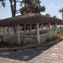 фото из отзыва ID 2715803