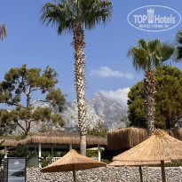 фото из отзыва ID 2715803