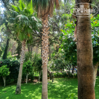 фото из отзыва ID 2716065