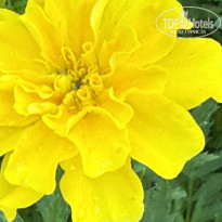 фото из отзыва ID 2716498