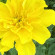 фото из отзыва ID 2716498