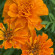 фото из отзыва ID 2716498
