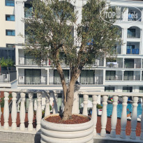 фото из отзыва ID 2716592