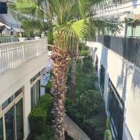 фото из отзыва ID 2716592