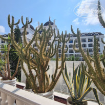 фото из отзыва ID 2716592