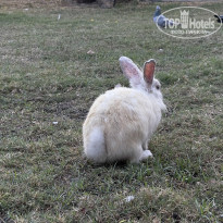 фото из отзыва ID 2716733