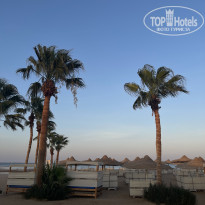 фото из отзыва ID 2716744