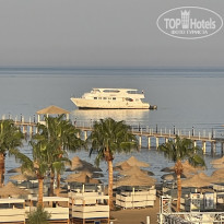 фото из отзыва ID 2716744