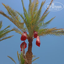 фото из отзыва ID 2716753