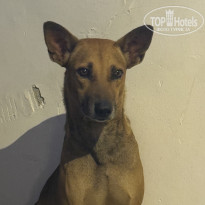 фото из отзыва ID 2716687