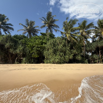 фото из отзыва ID 2716687