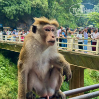 фото из отзыва ID 2716687