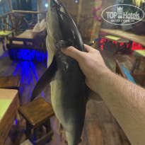 фото из отзыва ID 2716687