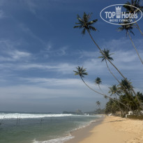 фото из отзыва ID 2716687