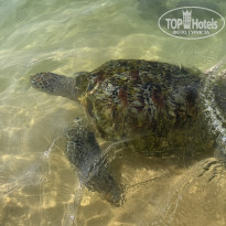 фото из отзыва ID 2716687