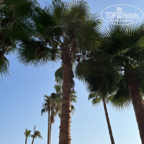 фото из отзыва ID 2716801