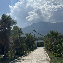 фото из отзыва ID 2716823