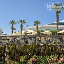 фото из отзыва ID 2716976