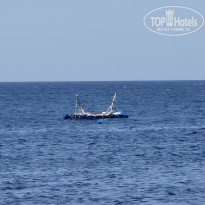 фото из отзыва ID 2716976