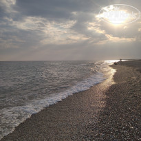 фото из отзыва ID 2716981